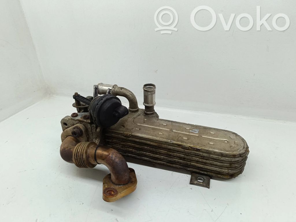 Volkswagen PASSAT B6 Refrigerador de la válvula EGR 