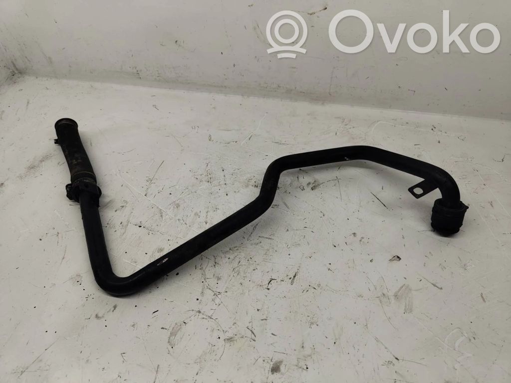 Volkswagen PASSAT B5.5 Engine coolant pipe/hose 