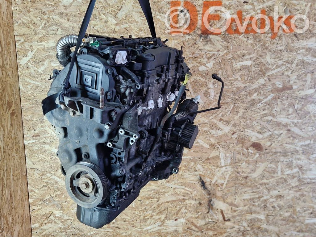 Ford Focus Moottori 