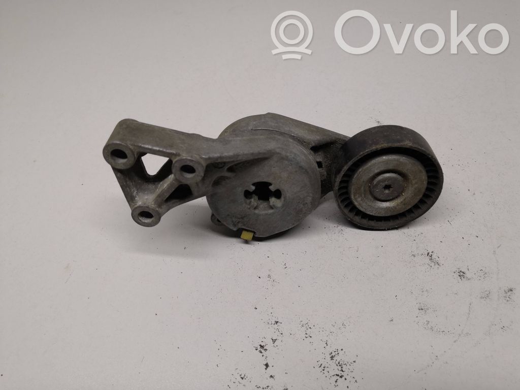 Volkswagen Golf IV Napinacz paska alternatora 