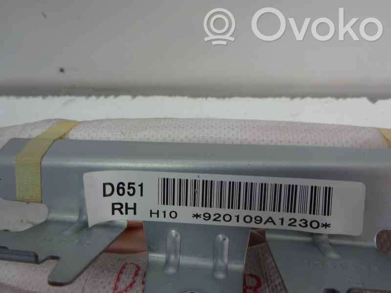 Airbag da tetto   D651