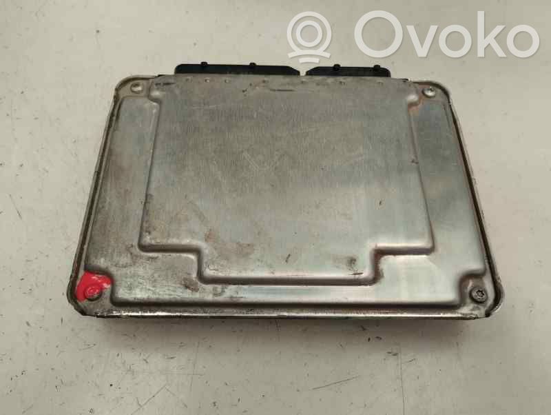 Seat Ibiza III (6L) Centralina/modulo del motore 