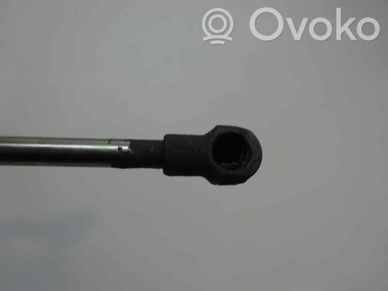 Volkswagen Polo Ammortizzatore portellone anteriore/cofano