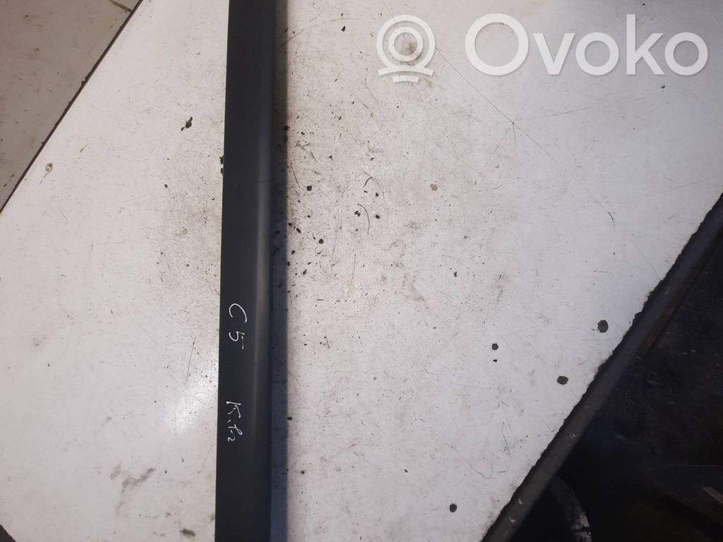 Listwa drzwi przednich   96499331XT