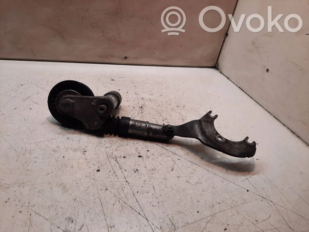 Volkswagen PASSAT B5 Napinacz paska wielorowkowego / Alternatora 