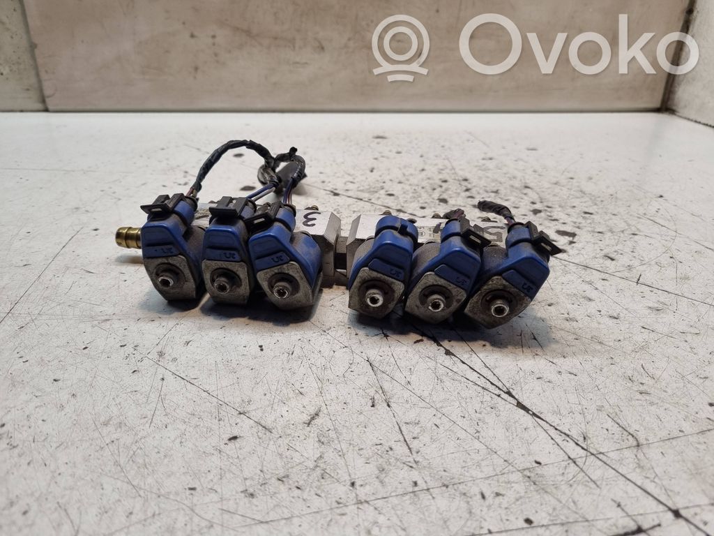Volvo V70 Inyector de gas GLP 