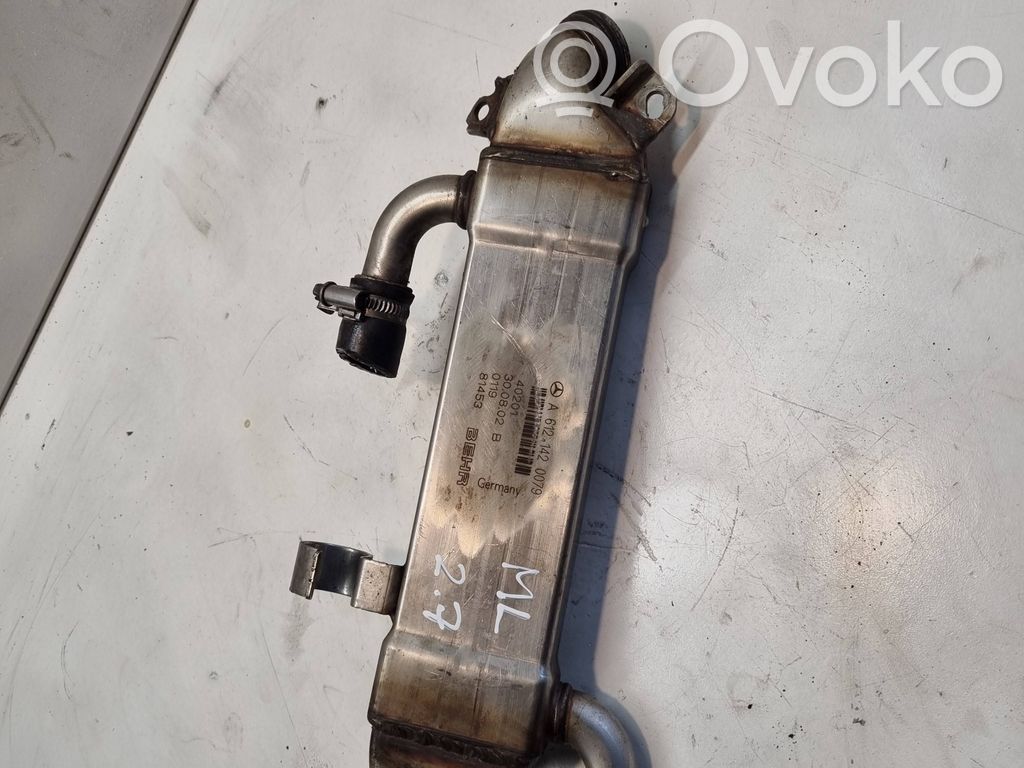 Mercedes-Benz ML W163 Refrigerador de la válvula EGR 