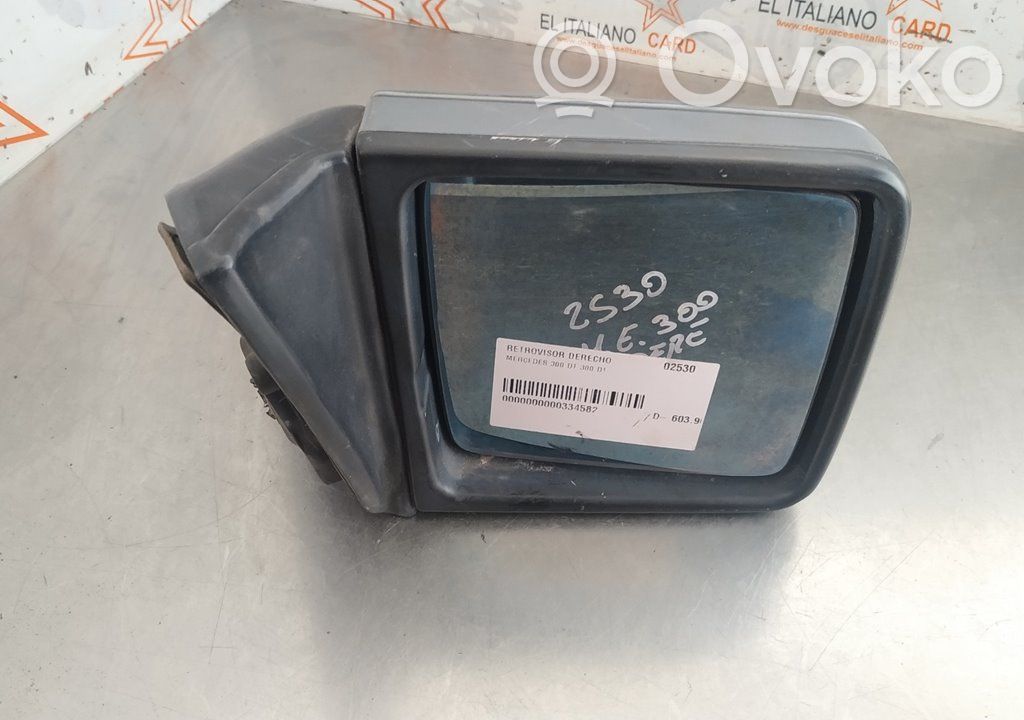 Mercedes-Benz E W124 Front door electric wing mirror 