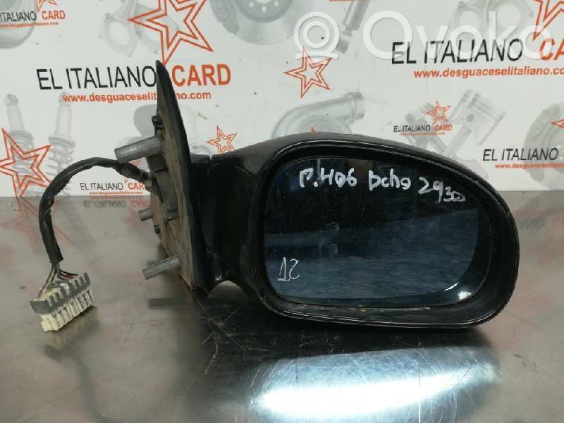 Peugeot 406 Front door electric wing mirror 