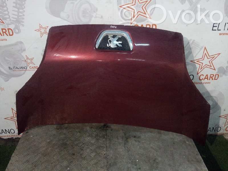 Capó/tapa del motor   6482