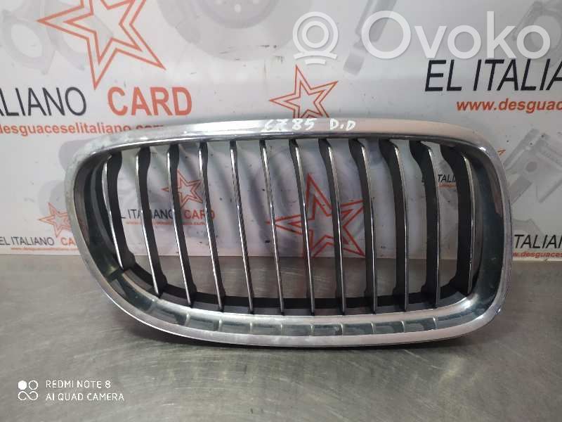 Fender grill   6785