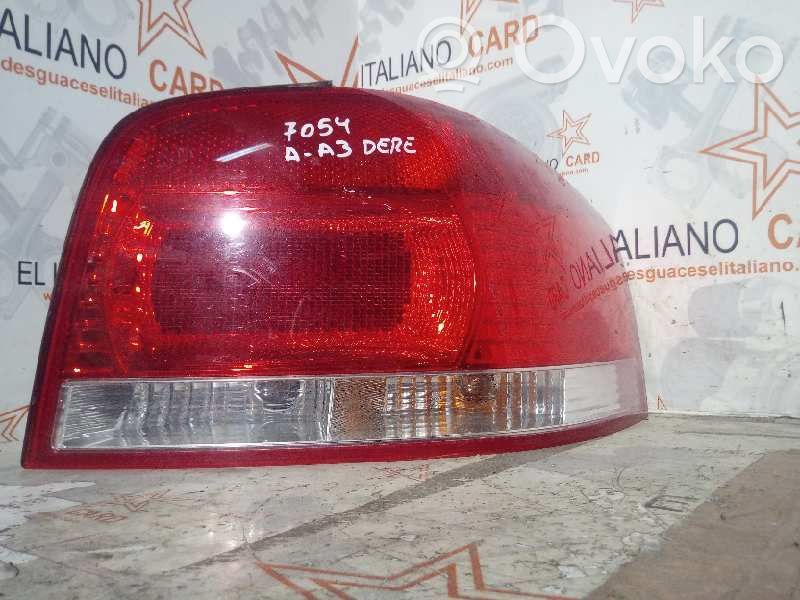 Rear/tail lights   7054
