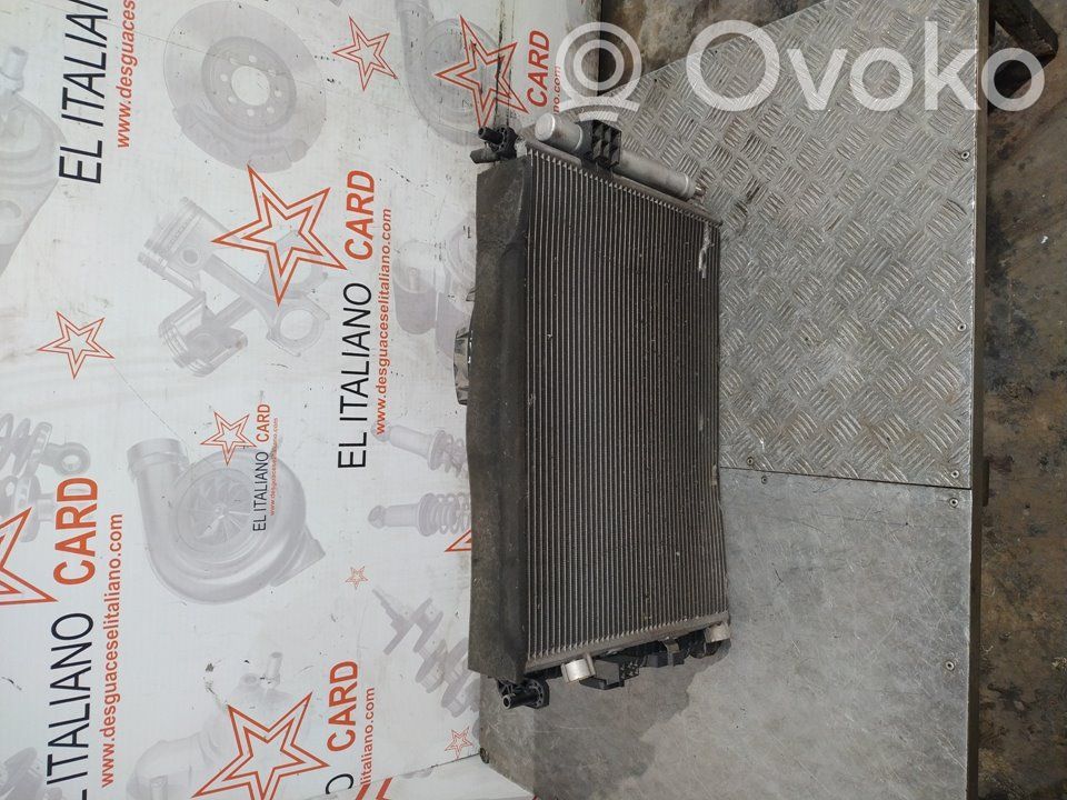 Radiador del refrigerante   8118