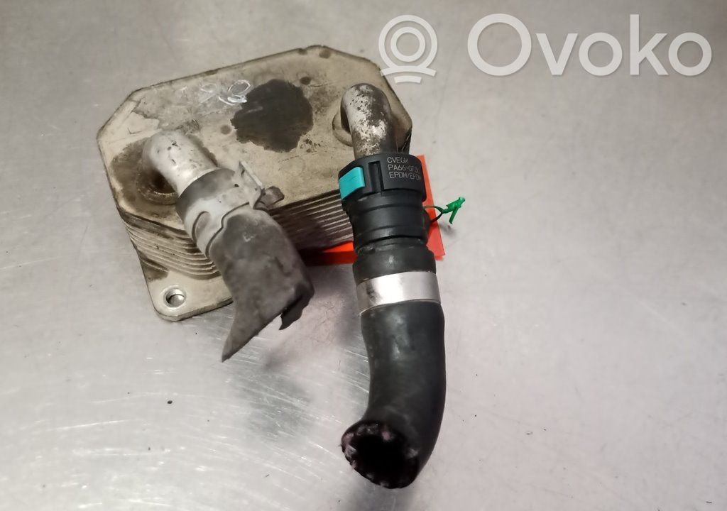 Ford Focus Engine oil radiator 
