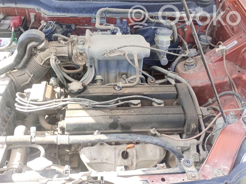 Motor