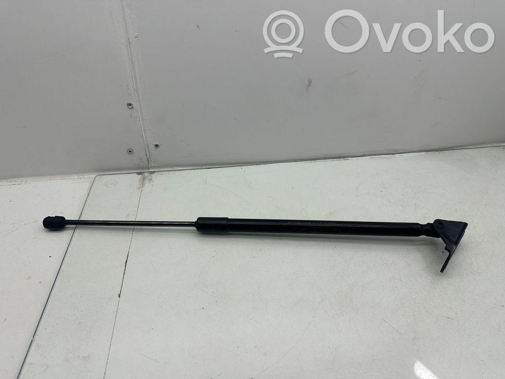 Tailgate/trunk strut/damper   6896002210