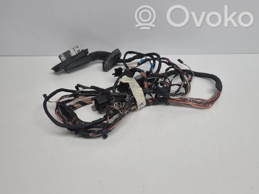BMW 7 F01 F02 F03 F04 Rear door wiring loom 