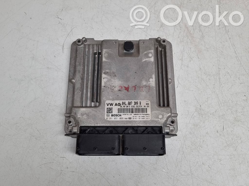 Engine control unit/module   04L907309R,0281031066