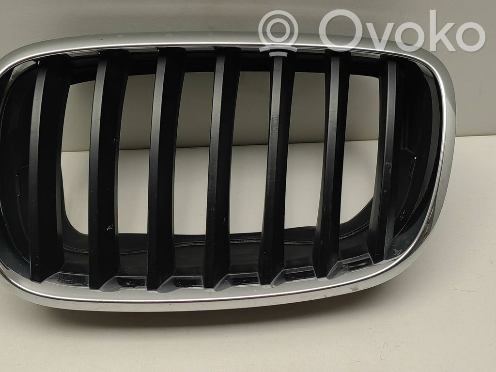 BMW X5 E70 Front grill 