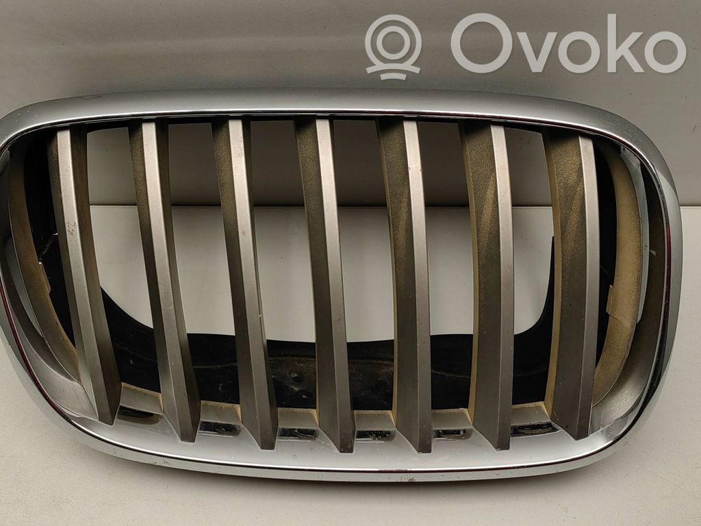 BMW X5 E70 Front bumper upper radiator grill 