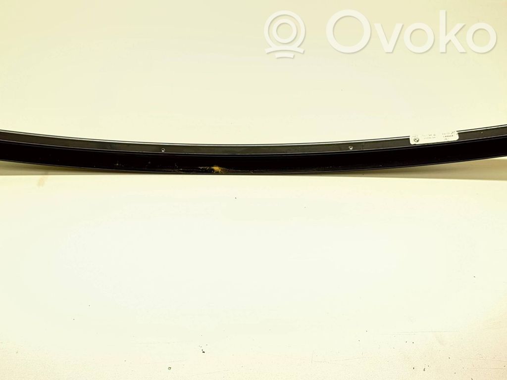 BMW X6 F16 Listwa / Uszczelka szyby drzwi tylnych 