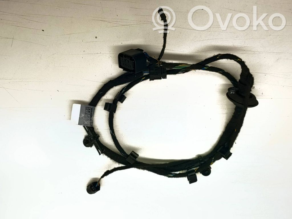 BMW 7 E65 E66 Rear door wiring loom 