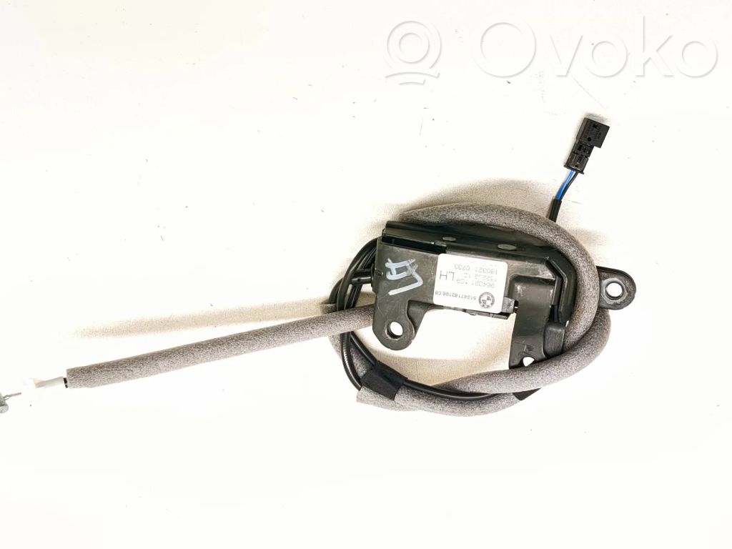 BMW X5 F15 Tailgate/trunk/boot lock/catch/latch 