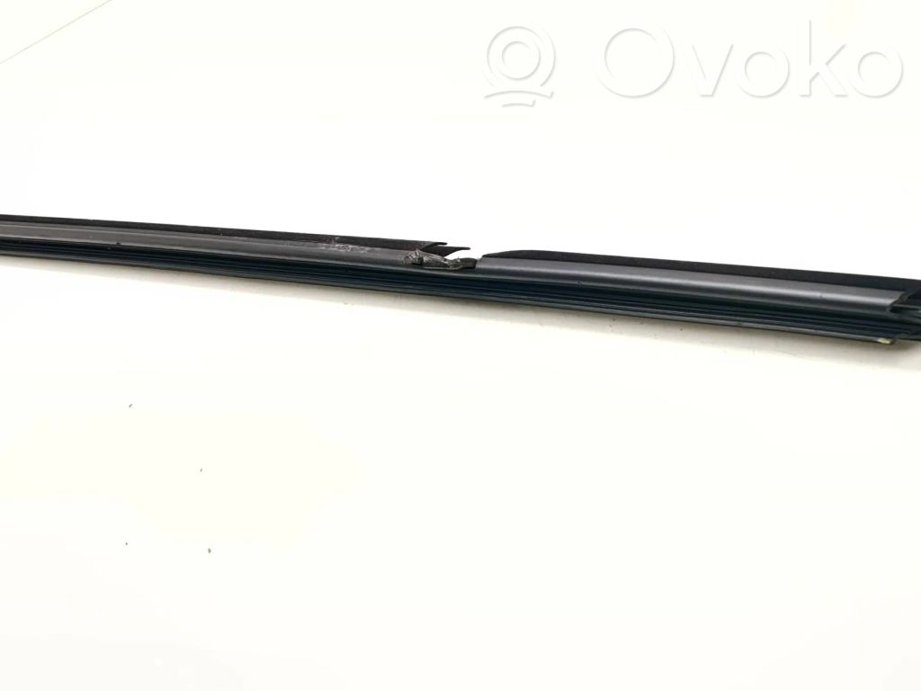 BMW 5 F10 F11 Galinių durų sandarinimo guma 