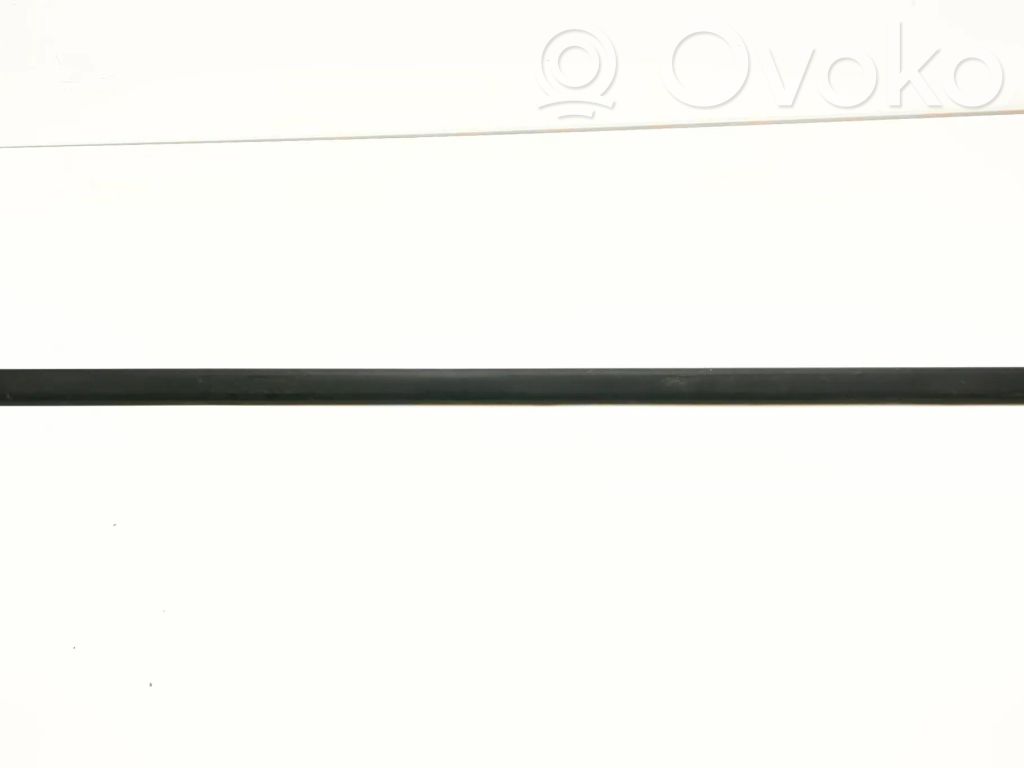 BMW 3 E46 Etuoven lista (muoto) 