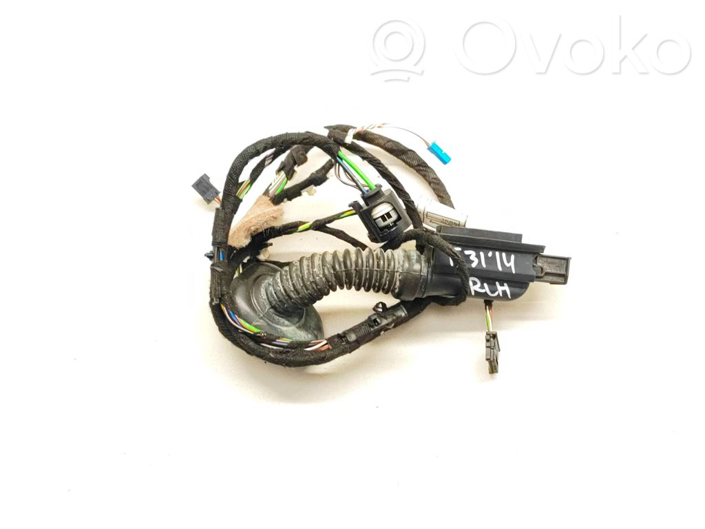 BMW 3 F30 F35 F31 Cablaj ușă spate 