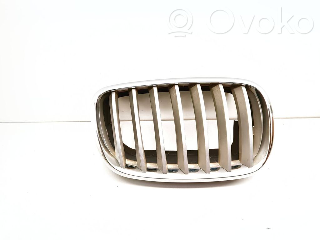 BMW X5 E70 Front bumper upper radiator grill 