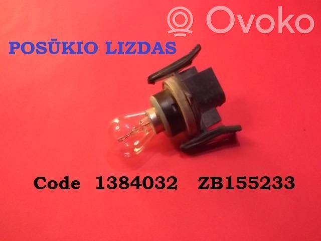 Front indicator light   1384032,ZB155233