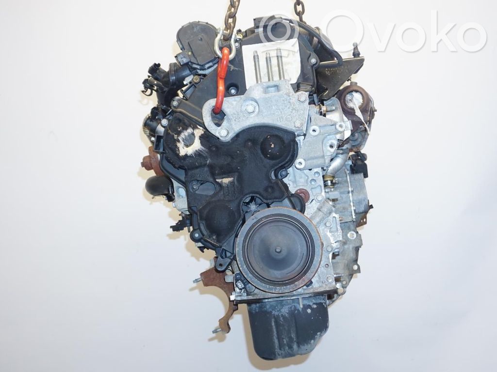 Ford Fiesta Moottori 