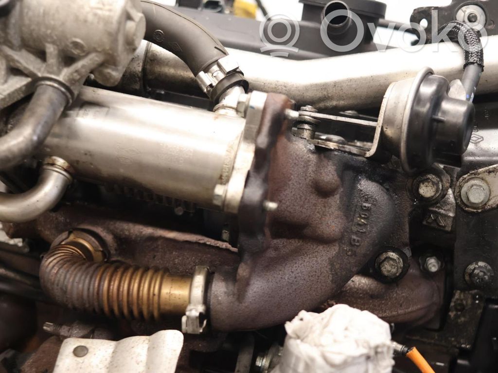 Motor   100016217R