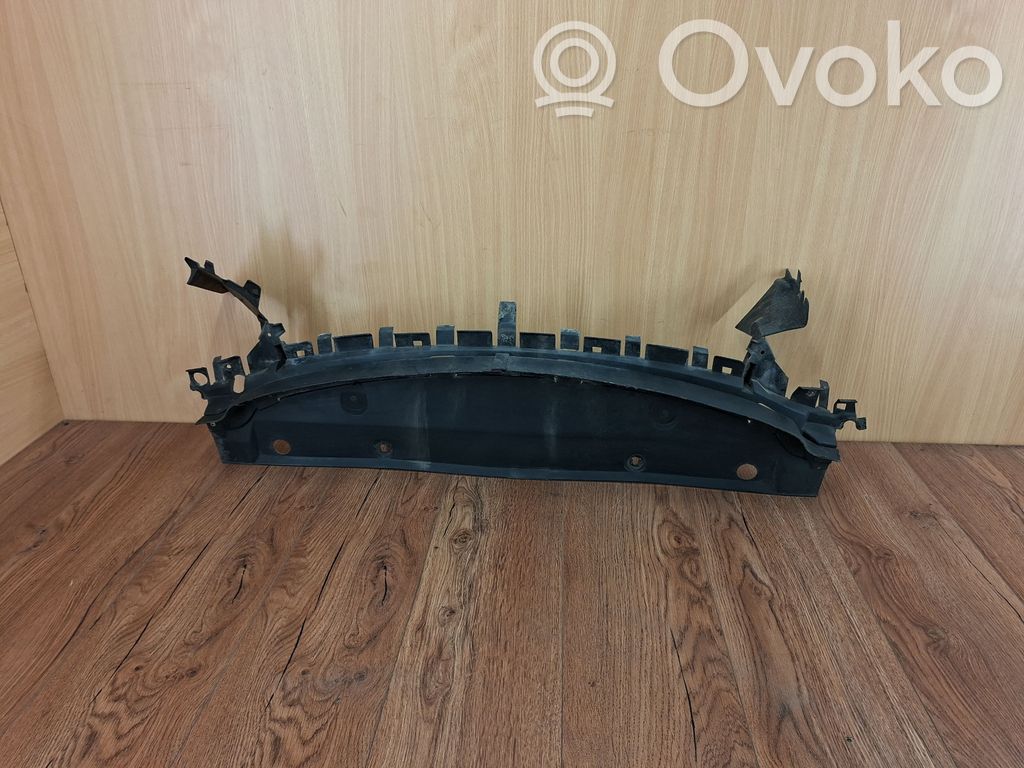 Renault Vel Satis Etupuskurin reuna 