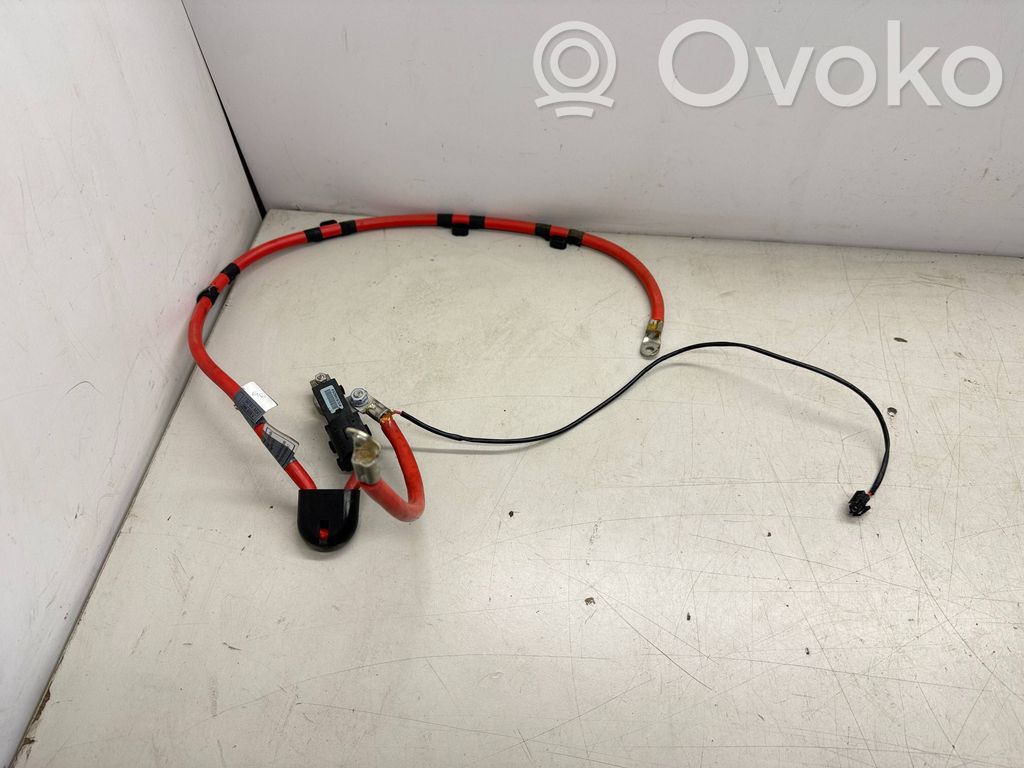 Pluskabel Batterie   6928990,6928988