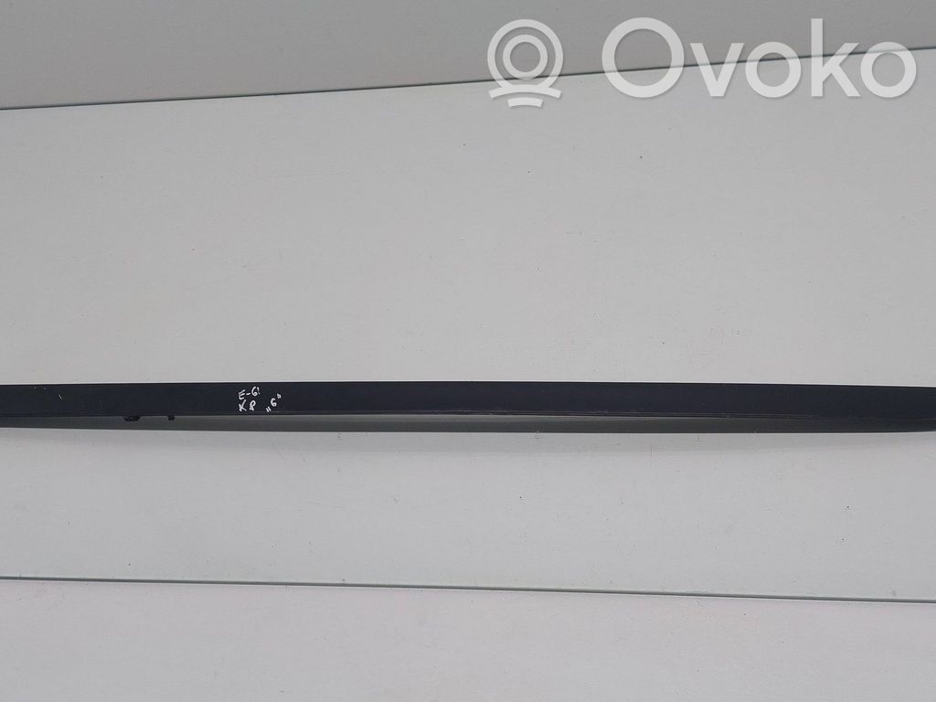 Windshield trim