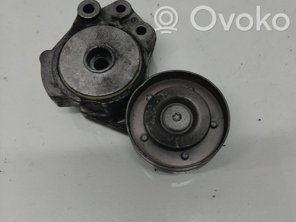Volkswagen Golf Plus Napinacz paska alternatora 