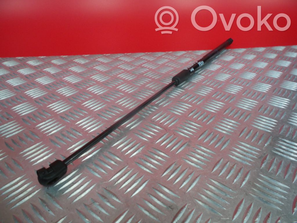 Tailgate/trunk strut/damper   39089133,315005777,7337550260N