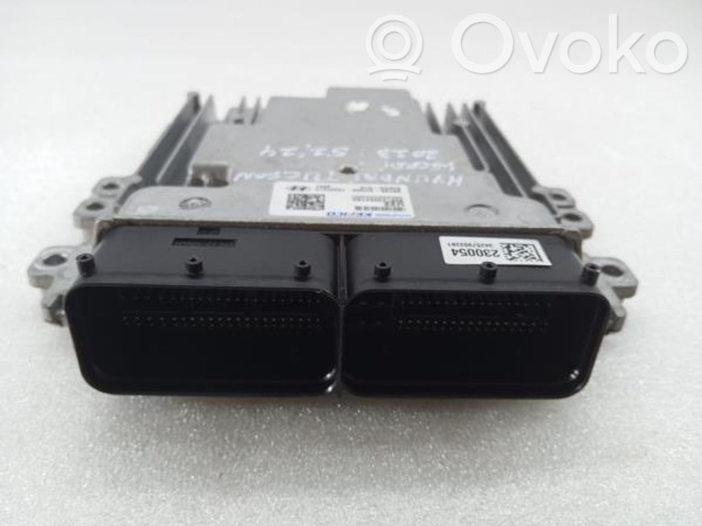 Engine control unit/module   391992U400,220314D,230054,34257902281,9001230247KA,NXEM6MED0I9501,SAKF075,SIM2K510