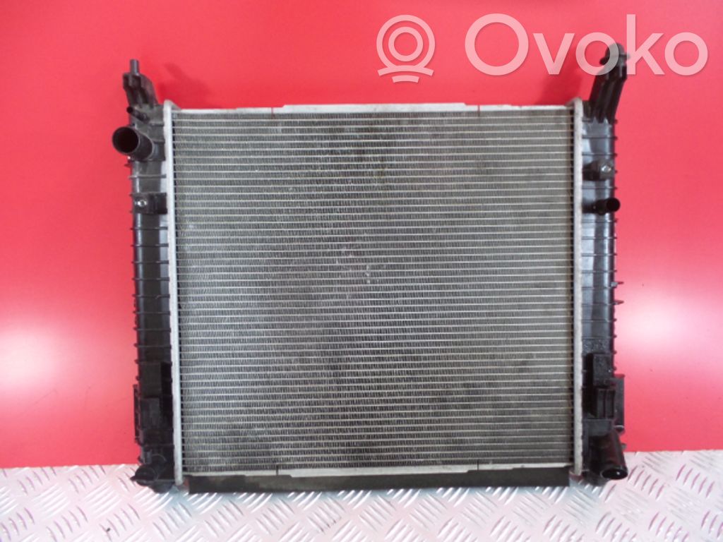 Wasserkühler   214103VD1A