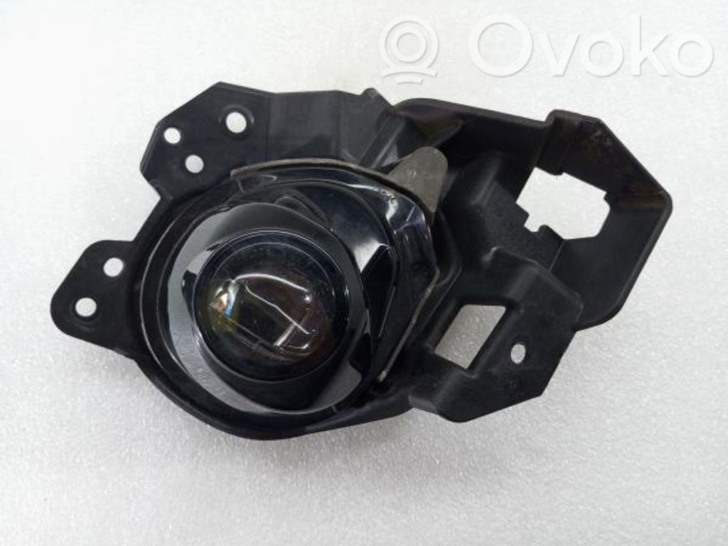 Nebelscheinwerfer vorne   11465101