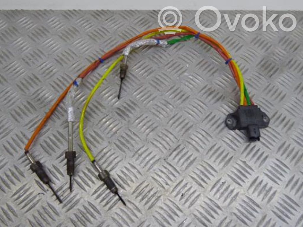 Sonda lambda   226584529R,2658000950