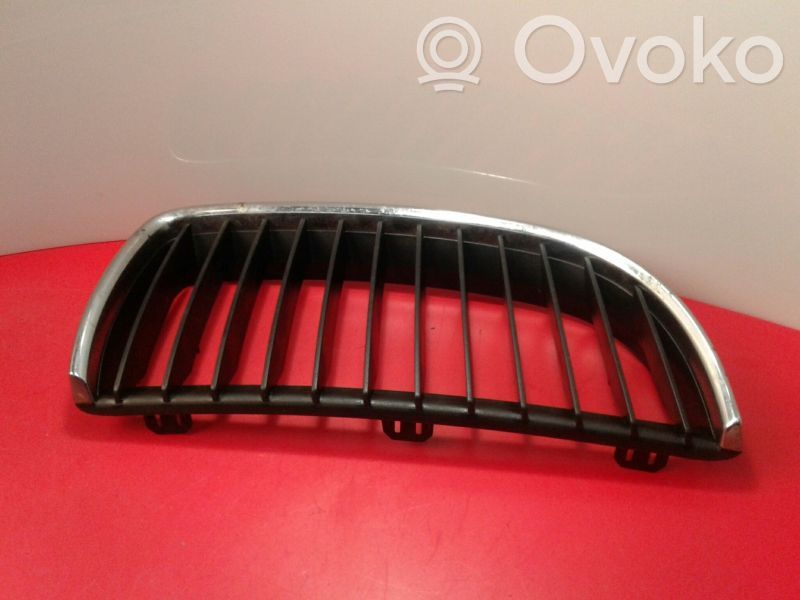 Kühlergrill   224059,CROMADOCOMDESGASTE