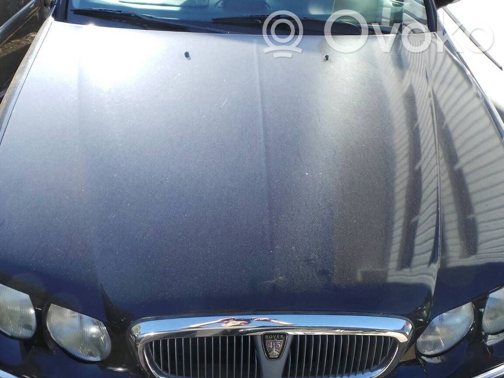 Engine bonnet/hood   24731,K4F