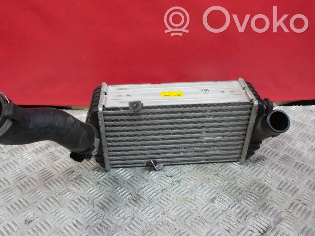 Interkūlerio radiatorius   D4FB,229905,282702A770