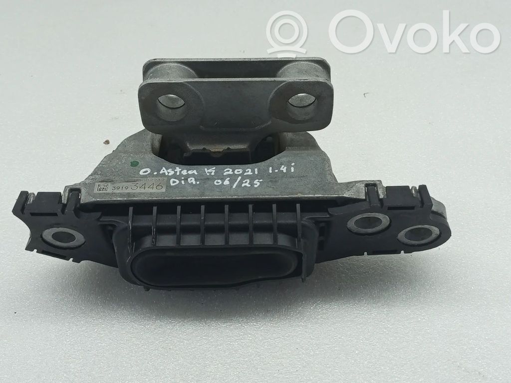Engine mount bracket   39193446,307579