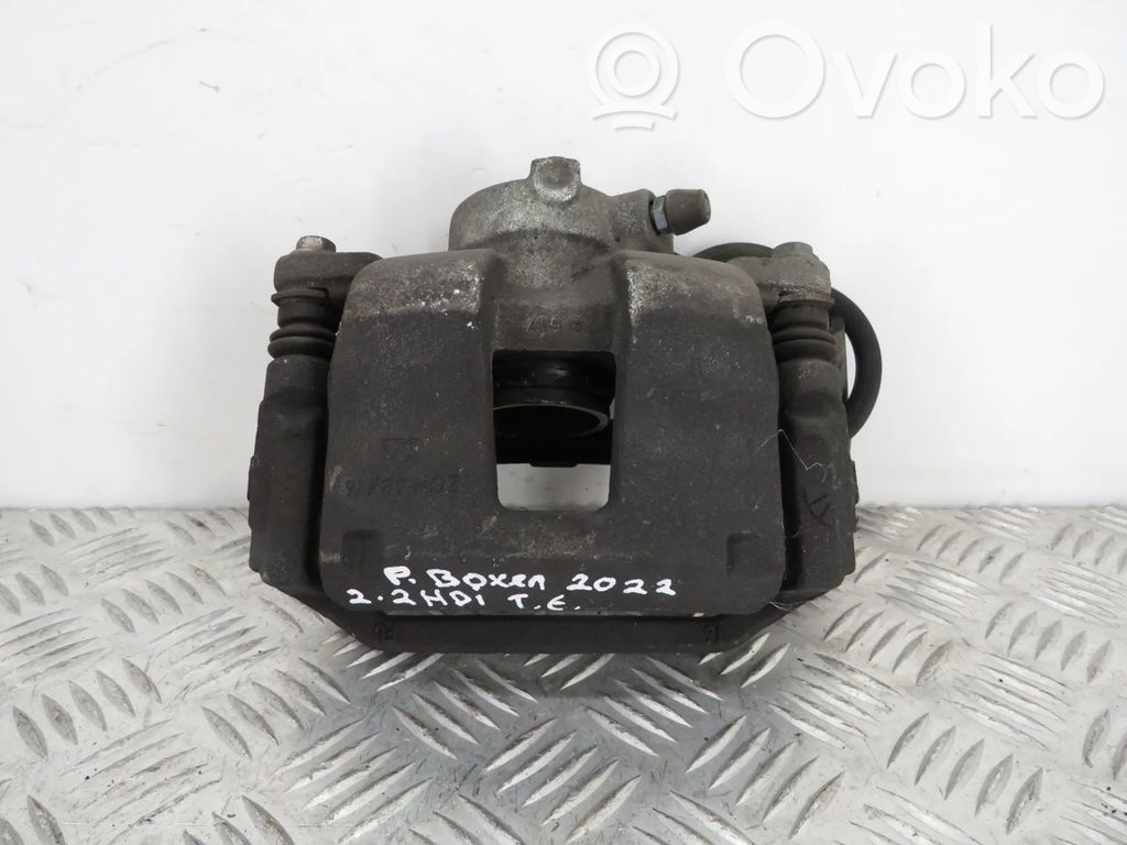 Takajarrusatula   ZOH4816