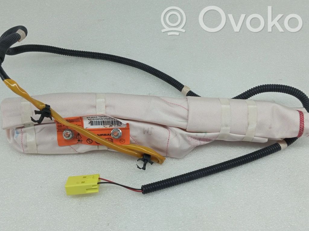 Sitz-Airbag   0589P1000679