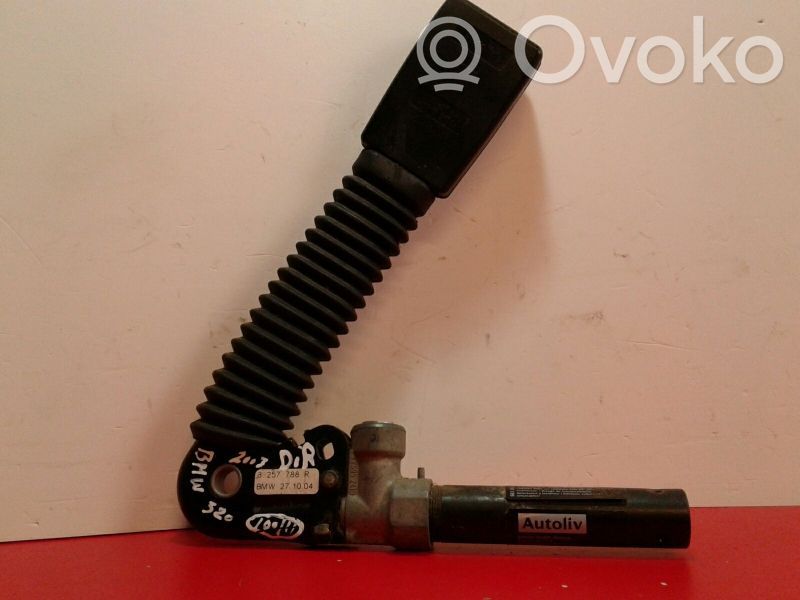 Cinturón delantero   563067417C